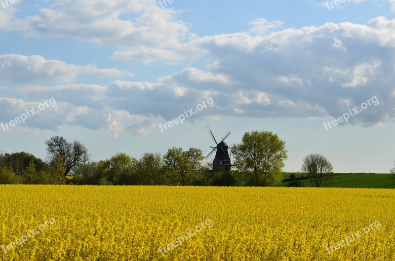 Oilseed Rape Field Of Rapeseeds Windmill Yellow Plant