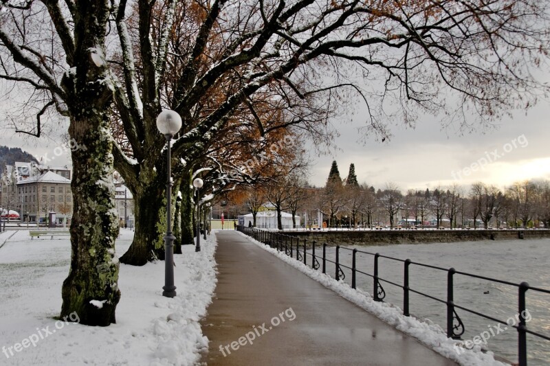 Lake Constance Bregenz Winter Winter At Lake Constance Molo