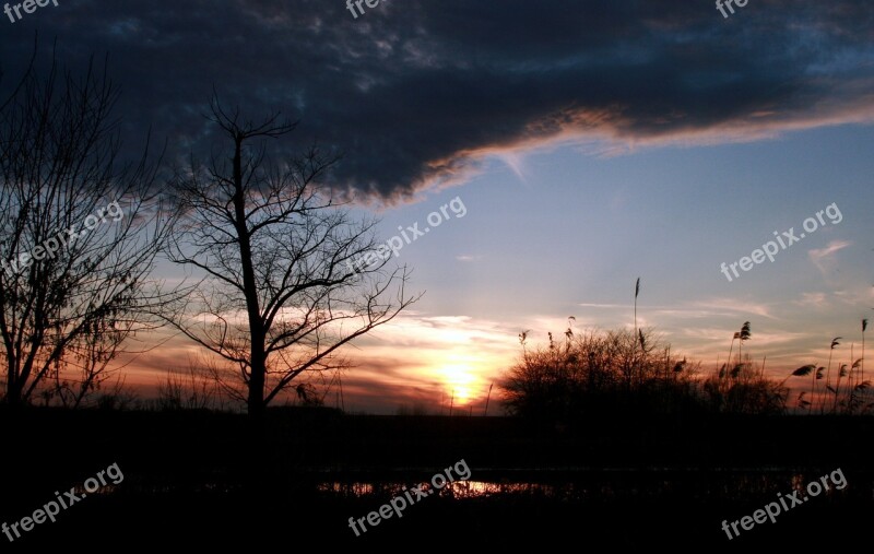 Sunset Tree Cloud Lake Sky