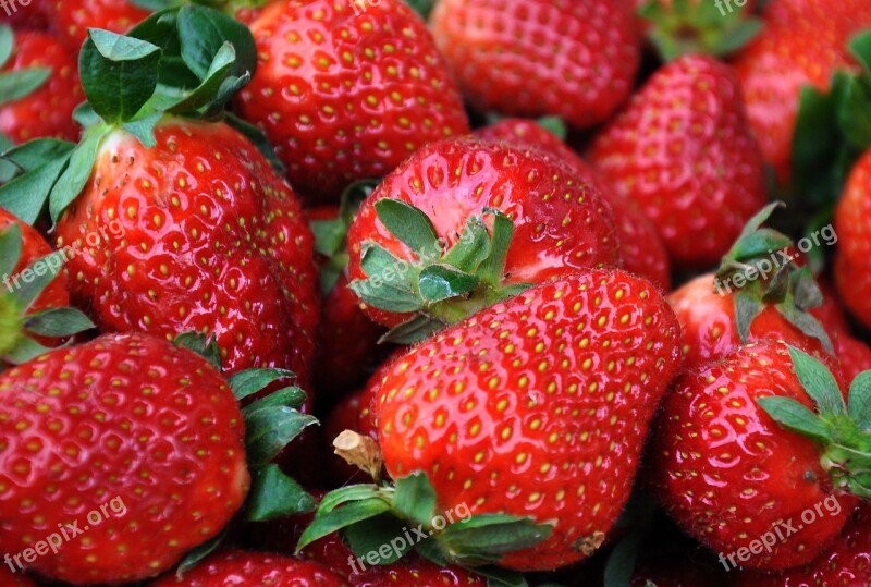 Strawberry Fruit Red Still Life Ripe Fruit