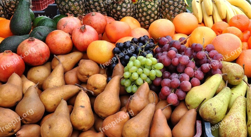 Fruit Mixed Color Food Free Photos