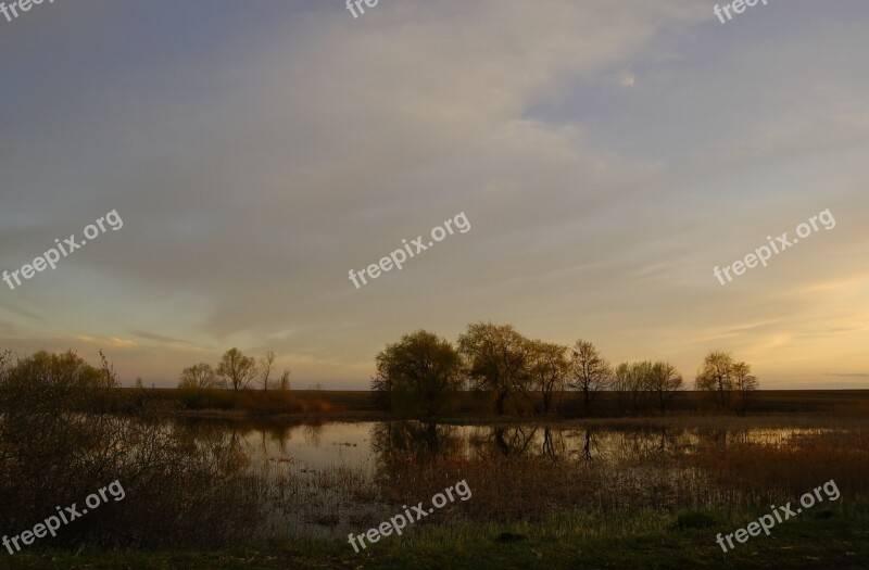 Lake Swamp Spring After Sunset Nature