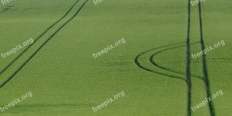 Furrows Agriculture Green Free Photos