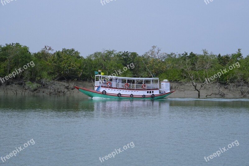 Boat River Mangroves Sundarbans Forest