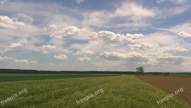 Country Rural Fields Landscape Nature