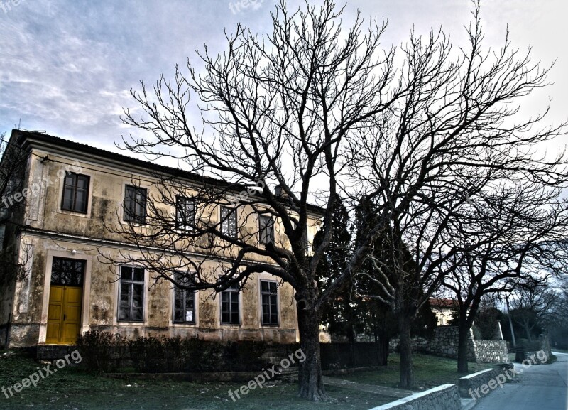 Tree House Morning Landscaping Istria