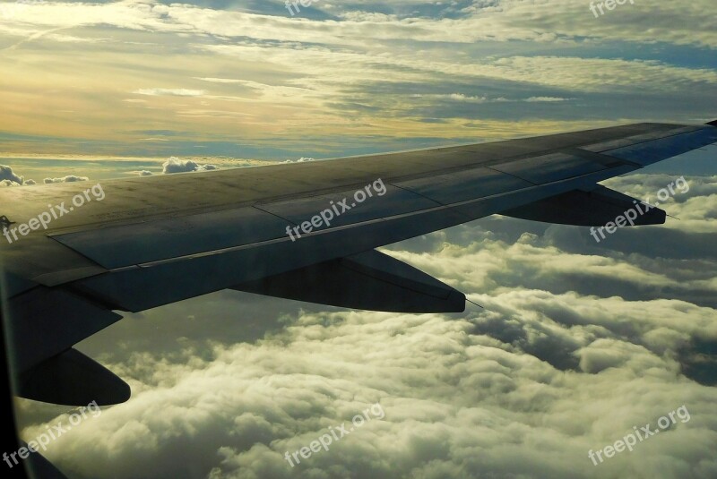 Plane Flight Plane Wing Travel Airplane Wing View