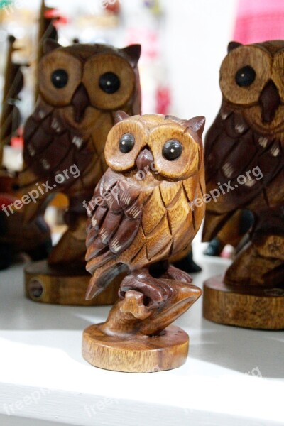 Owl Eagle Owl Young Eagle Owls Bird Feather