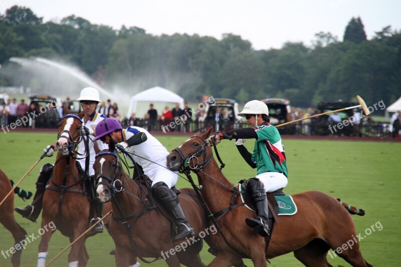 Polo Horses Players Equestrian Sport