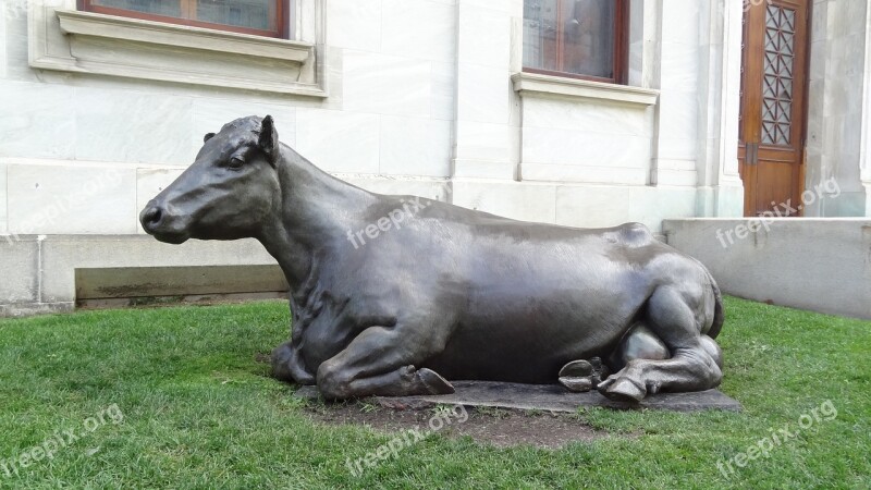 Bronze Lying Cow Claudia Sculpture Animal