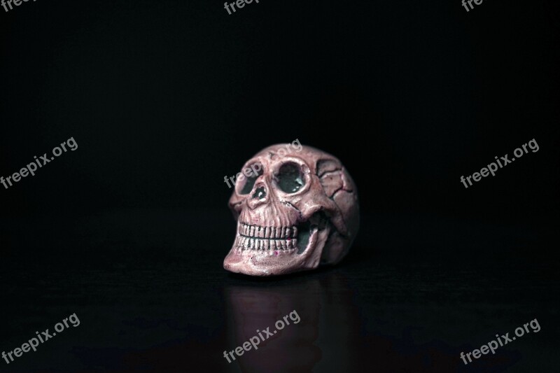 Skull Paperweight Memento Halloween Gadget