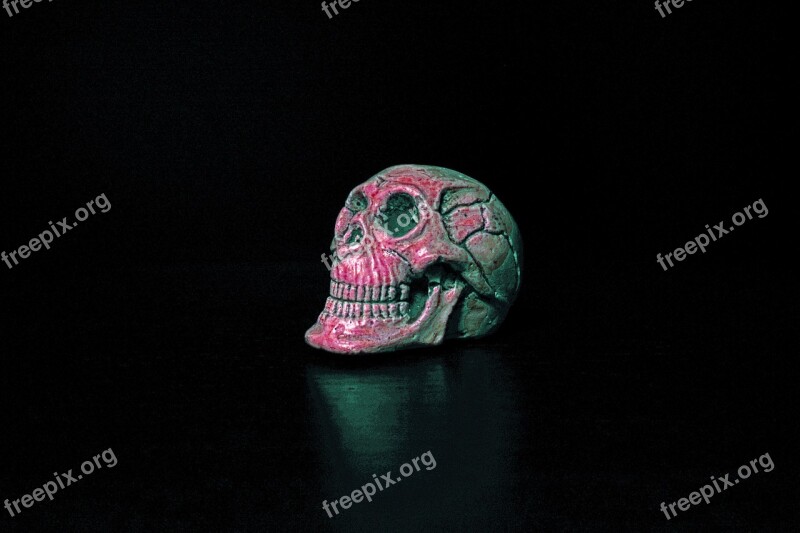 Death Skull Paperweight Memento Halloween