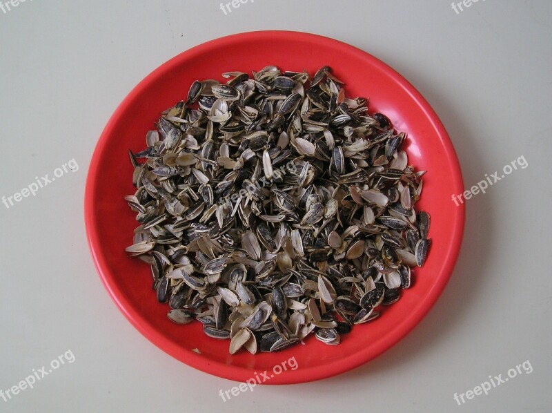 Sunflower Seeds Pipes Food Dish Sandwich