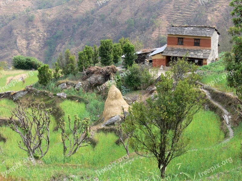 House Nepal Rice Fields Countryside Free Photos