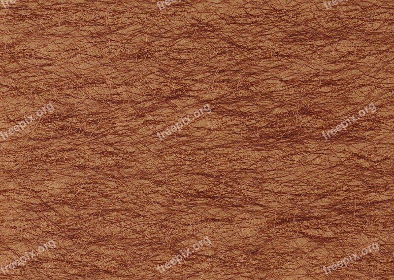 Texture Wires Brown Background Free Photos