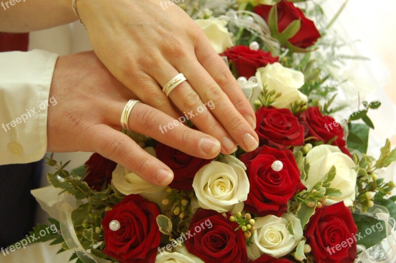 Wedding Marriage Wedding Ring Ring Roses