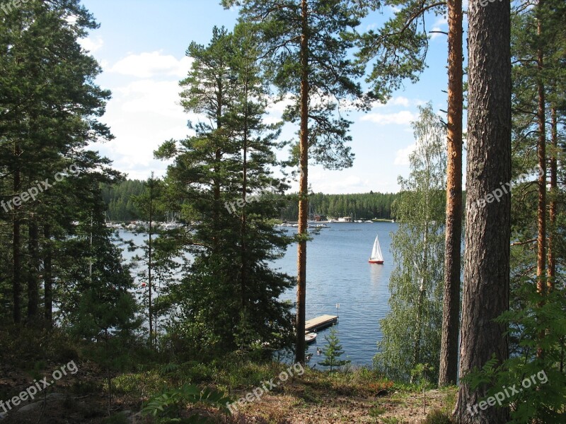 Finland Imatra Saimaa Lake Forest