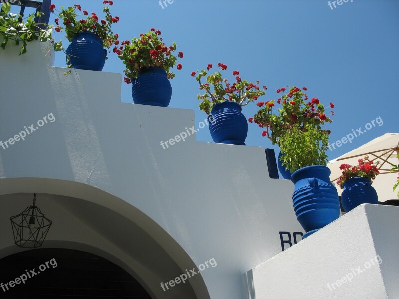 Geranium Flowers In A Pot Street Greece Clearance