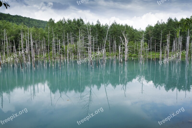 Blue Pond Hokkaido Japan Lagoon Lake