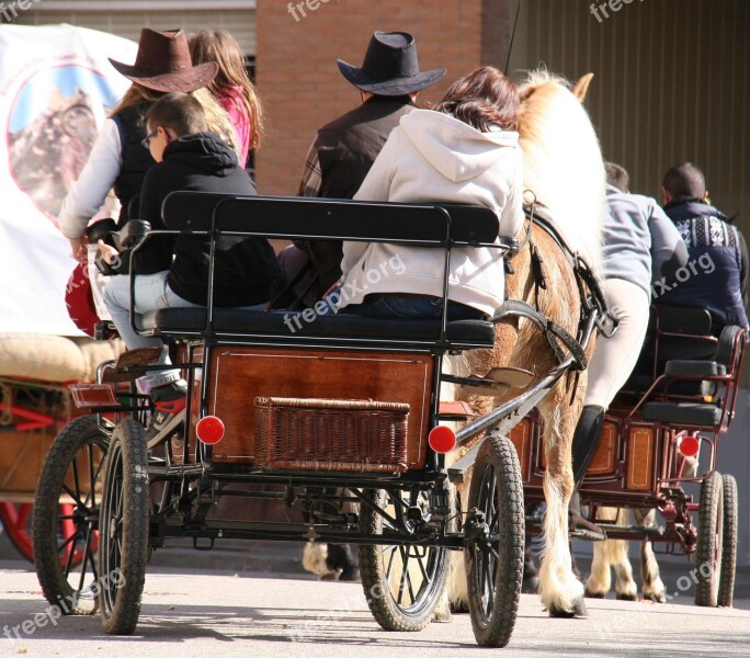 Horse-drawn Carriage Horse Party In Family Free Photos