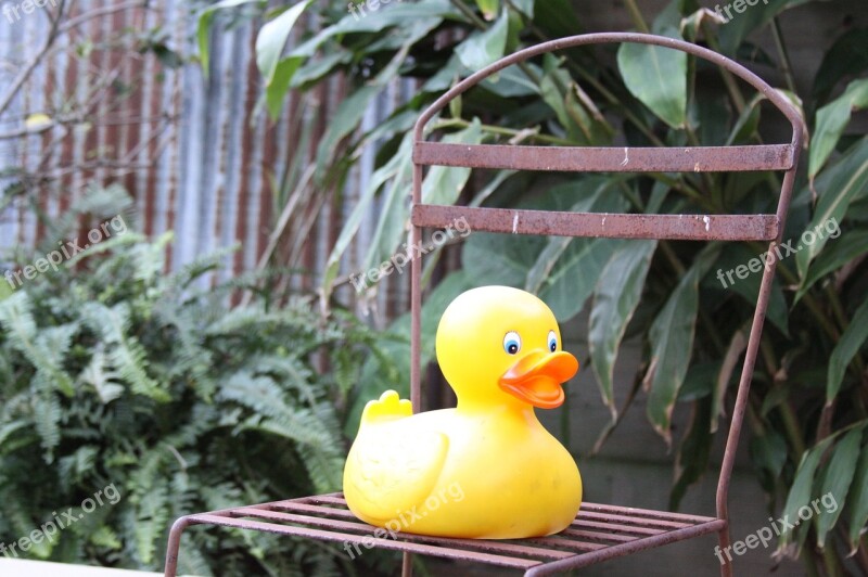 Rubber Duck Chair Iron Rubber Duck