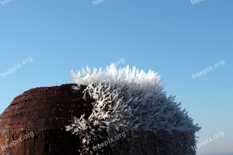 Wood Pile Frost Frozen Fog Frozen Ice