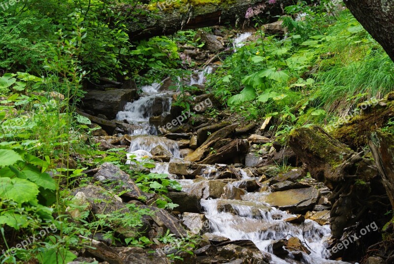 Mountain Stream Stream Brook River Switzerland