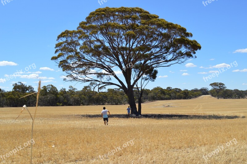 West Australia Country Narrogin Australia Farm