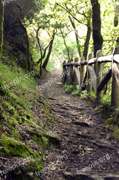 Path Galicia Trail Landscape Nature