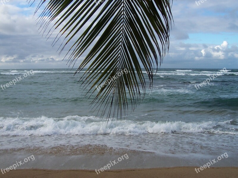 Martinique Sea Caribbean Island Ocean