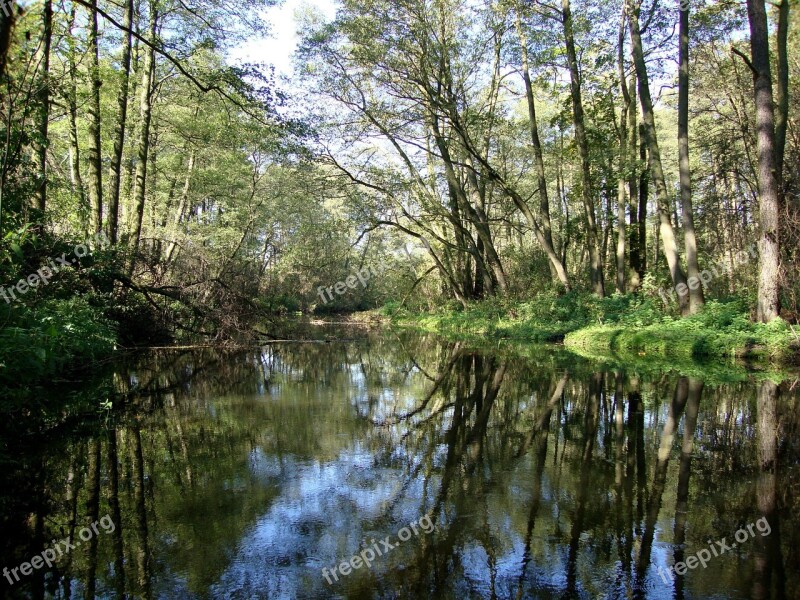 Tree Water Landscape Poland Nature