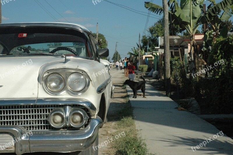 Car Dog Kid Animal Cuba