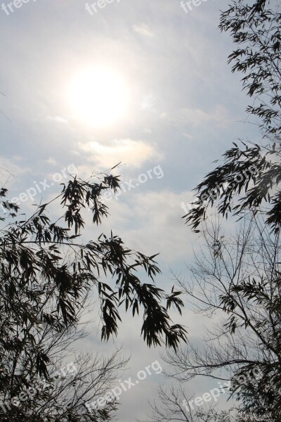 Sky Bamboo Landscape Sea Nature