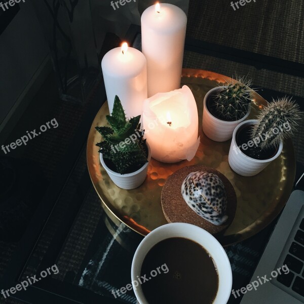 Coffee Light Cactus Interior Design Free Photos