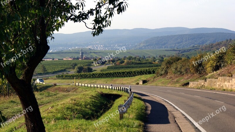 Landscape Palatinate Wine Nature Sachsen