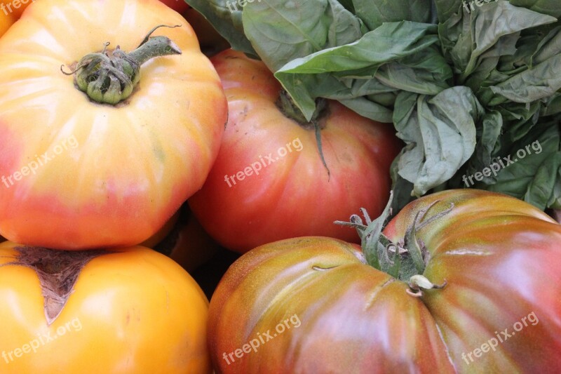 Heirloom Tomatoes Tomato Vegetable Red