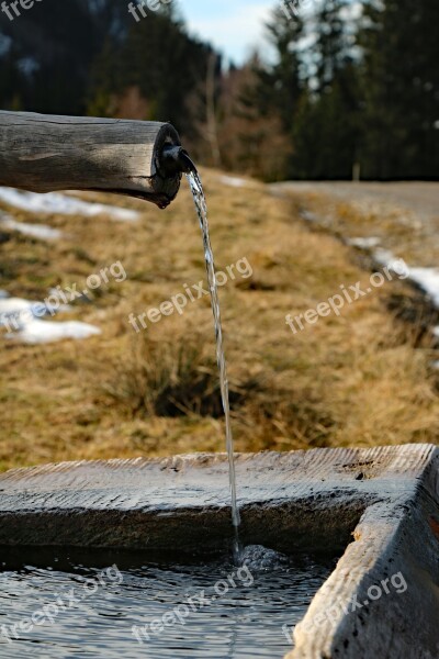 Fountain Wasse Clear Mountain Water Trough