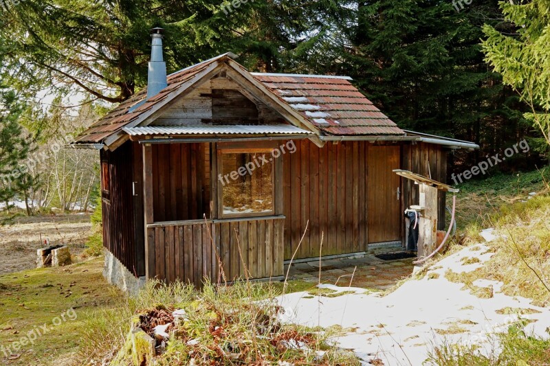 Holiday House Forest Mountain Austria Idyllic