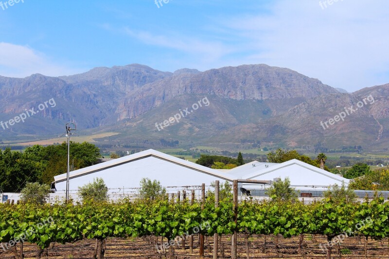 Breathtaking Green Greenery Wine Tour Wine