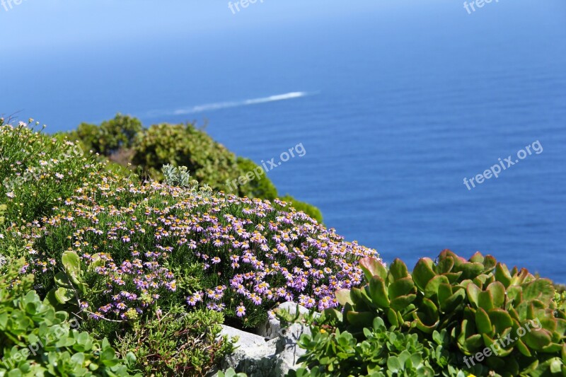 Cape Of Good Hope Breath-taking Blue Green Ocean