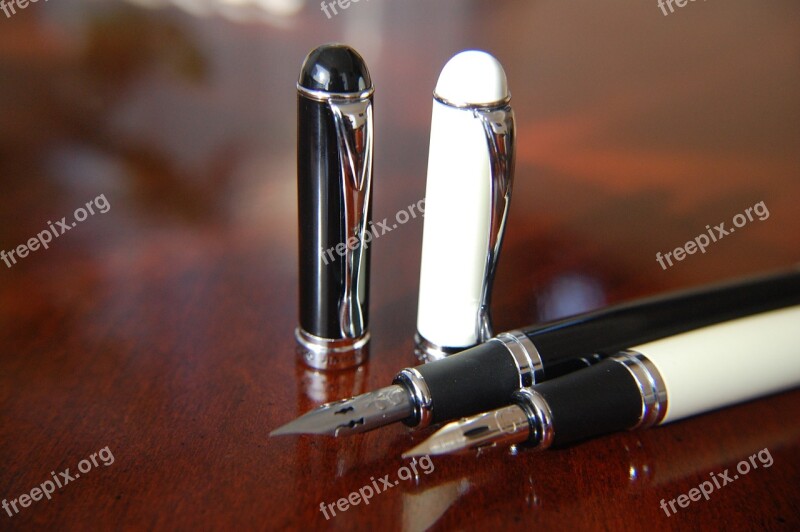 Nib Ink Writing Calligraphy Pen