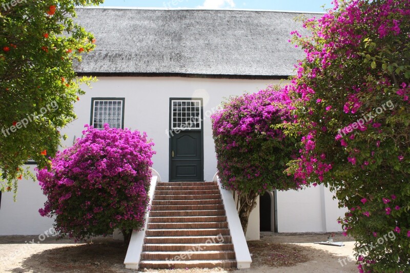 South Africa Winery House Stairs To House Winelands