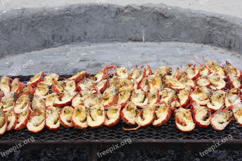 South Africa Strandlooper Barbecue Grilling Lobster Delicacy