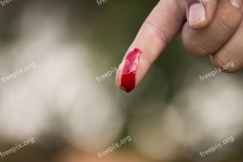 Finger Blood Wound Drop Free Photos