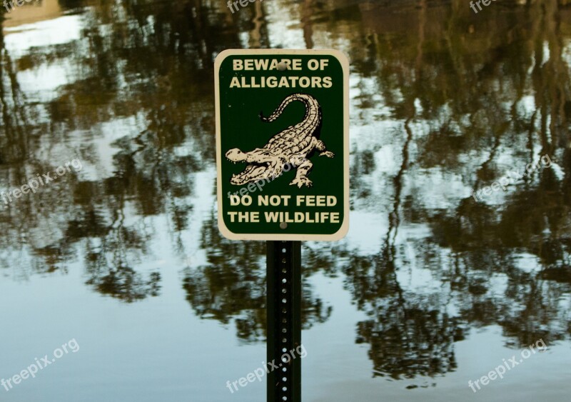 Poster Warning Care Danger Crocodiles