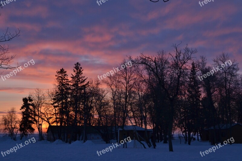 Trees Silhouette Dawn Sunset Evening