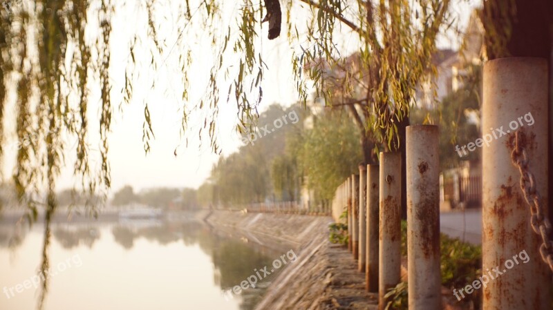 Peaceful Lake Tree Lake Side Water