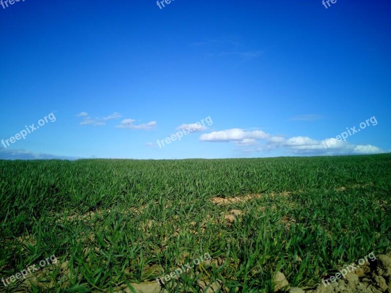 Field Landscape La Rioja Nature Green