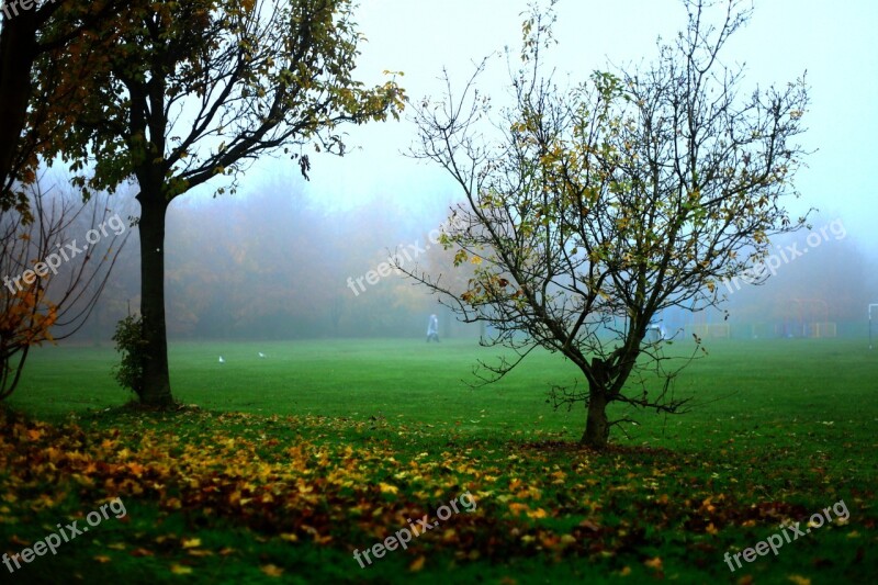 The Fog Autumn Tree Bush Landscape