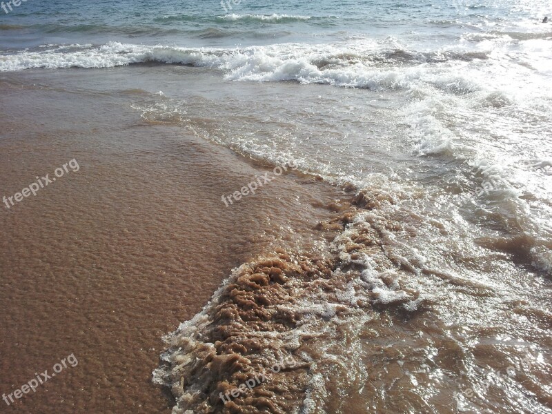 Ocean Hawaii Beach Hawaii Beach Travel